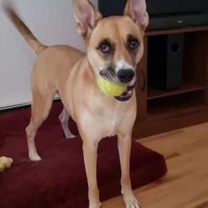 Meet your Posher, Hailey